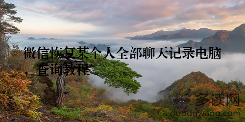 微信恢复某个人全部聊天记录电脑，查询教程