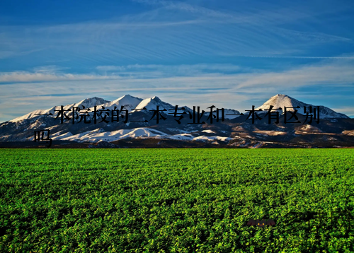 一本院校的二本专业和一本有区别吗