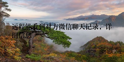 远程能看到对方微信聊天记录，详细信息
