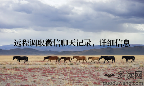 远程调取微信聊天记录，详细信息