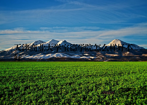 天津商业大学宝德学院怎么样好不好