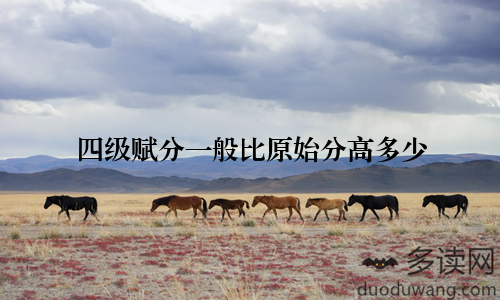 四级赋分一般比原始分高多少