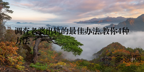 调查老婆出轨的最佳办法,教你4种方法