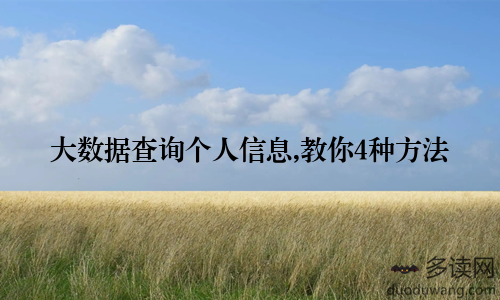 大数据查询个人信息,教你4种方法