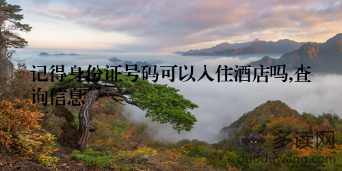 记得身份证号码可以入住酒店吗,查询信息