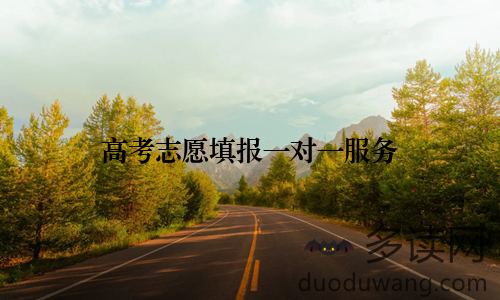 高考志愿填报一对一服务