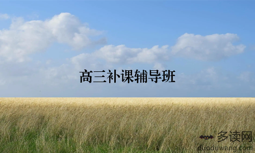 高三补课辅导班