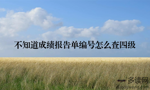 不知道成绩报告单编号怎么查四级