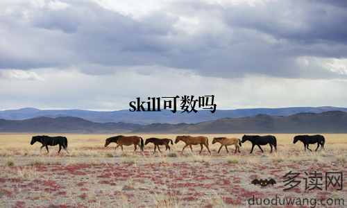 skill可数吗
