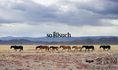 so和such