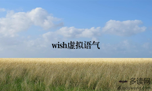 wish虚拟语气