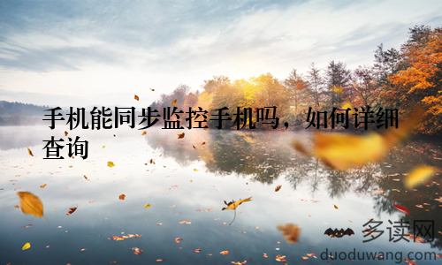 手机能同步监控手机吗，如何详细查询