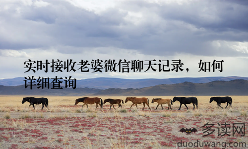 实时接收老婆微信聊天记录，如何详细查询