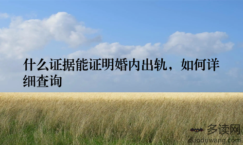 什么证据能证明婚内出轨，如何详细查询