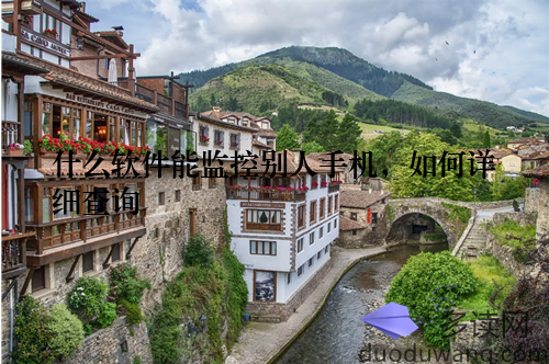 什么软件能监控别人手机，如何详细查询