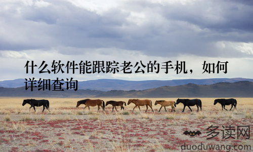 什么软件能跟踪老公的手机，如何详细查询