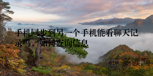 手机同步到另一个手机能看聊天记录吗，如何查询信息