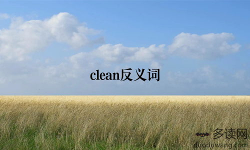 clean反义词