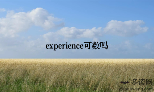 experience可数吗
