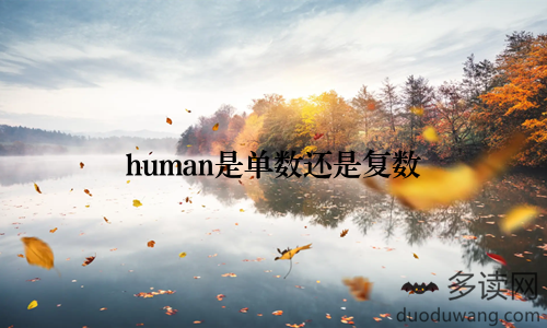 human是单数还是复数