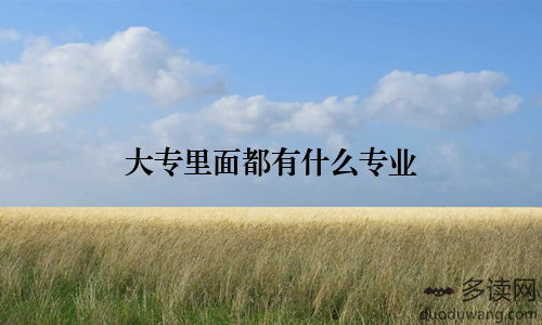 大专里面都有什么专业