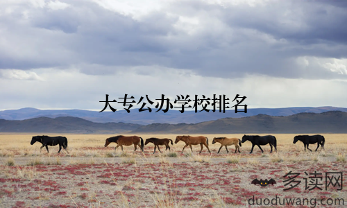 大专公办学校排名
