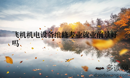 飞机机电设备维修专业就业前景好吗