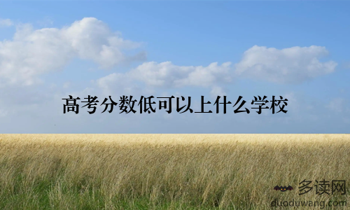 高考分数低可以上什么学校
