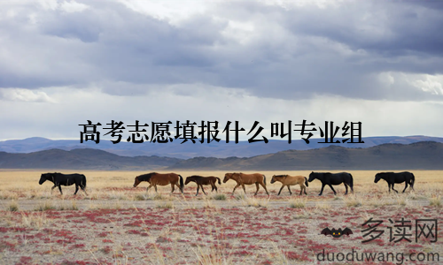 高考志愿填报什么叫专业组