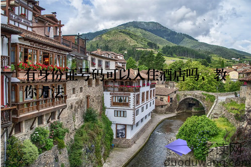 有身份证号码可以入住酒店吗,教你方法