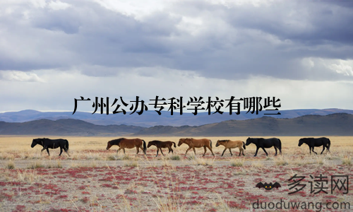 广州公办专科学校有哪些