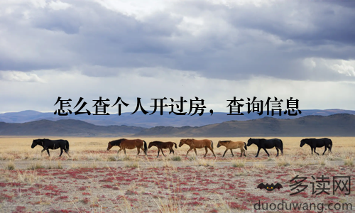 怎么查个人开过房，查询信息