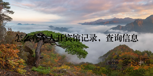 怎么查个人开宾馆记录，查询信息