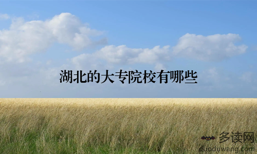 湖北的大专院校有哪些