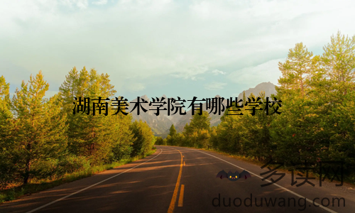 湖南美术学院有哪些学校
