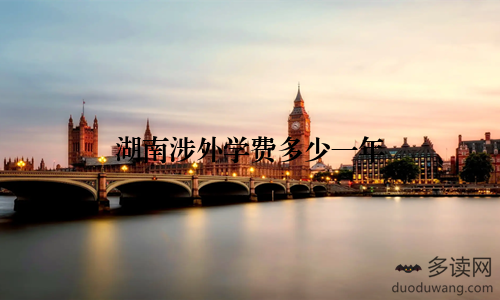 湖南涉外学费多少一年