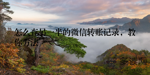 怎么查另一半的微信转账记录，教你方法