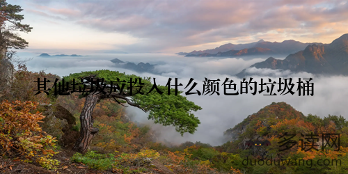 其他垃圾应投入什么颜色的垃圾桶