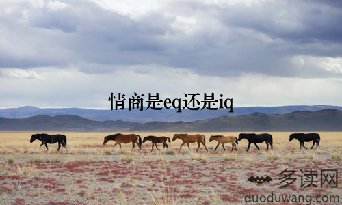 情商是eq还是iq