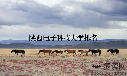 陕西电子科技大学排名