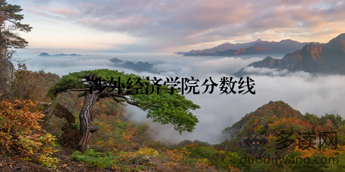 涉外经济学院分数线
