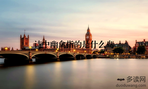 诗中幽禽指的是什么鸟