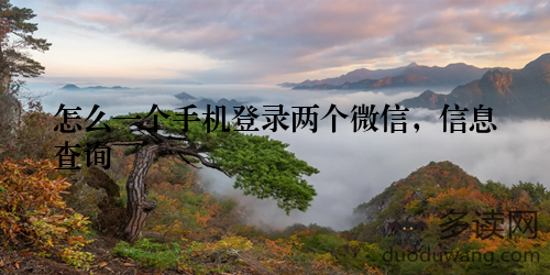 怎么一个手机登录两个微信，信息查询