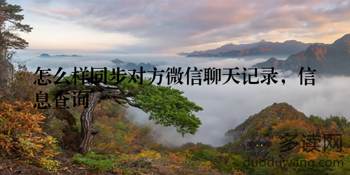 怎么样同步对方微信聊天记录，信息查询