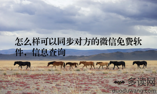 怎么样可以同步对方的微信免费软件，信息查询