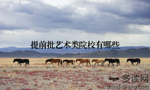 提前批艺术类院校有哪些