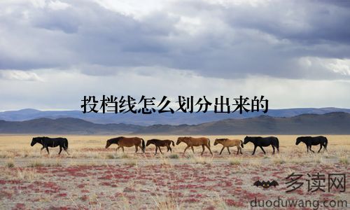投档线怎么划分出来的