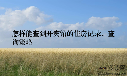 怎样能查到开宾馆的住房记录，查询策略