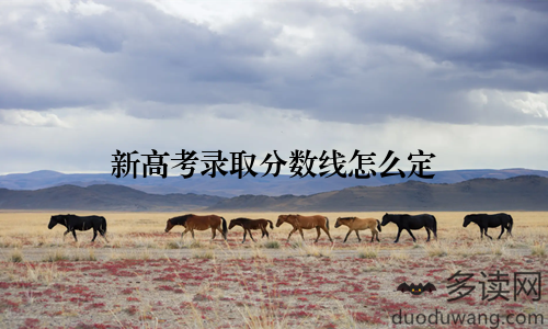 新高考录取分数线怎么定