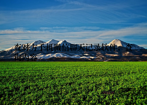 查对方手机微信聊天记录软件,查询内容